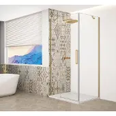 Gelco Trinity Gold Matt Rechthoekige douchecabine 100x120cm, helder glas, links
