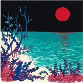 Import THE FIRST GLASS BEACH ALBUM (CLEAR)