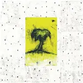 Konkurrent Songs: Ohia - Impala (LP)
