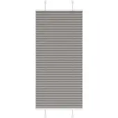 vidaXL Plissé rolgordijn 60x100 cm stofbreedte 59,4 cm antraciet