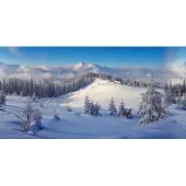My Village Kerstdorp Achtergrond Winterbos 300 X 150 Cm