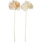 J-Line bloem Hortensia - polyester - beige/lichtgeel - 2 stuks