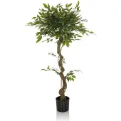 Hjh OFFICE Kunstplant/kunstboom FICUS I 120 cm groen