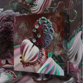 One Little Independent Fossora Coffret Collector
