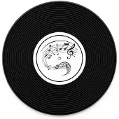 Froster Vinyl Onderzetters Muziek 4 stuks, 10 cm diameter, Siliconen