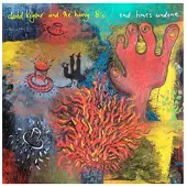 Cd David Kilgour & The Heavy Eights - End Times Undone (CD)