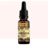 Biofloral Bachbloesems 16 Kamperfoelie Bio 20 ml Druppels