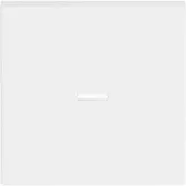 Busch-Jaeger Schakelelement/Centrale Plaat - 2CKA001751A3153