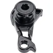 Campagnolo Udh Direct Mount Derailleurhanger