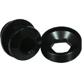 Race Face EXI Aeffect Cinch Extractor Screw, Deus 2008 and +, Next, SIXC, Turbine