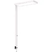 MAUL MAULjura 8257202 LED-opbouwlamp LED Wit