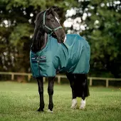 Amigo Ripstop 900D Pony Turnout 100g Dynasty Groen/Marineblauw & Zilver 95