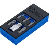 Bgs Schraubendreher-Bit-Satz Antrieb Aussensechskant 10 mm (3/8") Innenvielzahn (für XZN) 6-tlg.