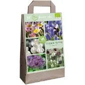 JUB Tas Organic Spring Bee Mix bloembol 35 stuks