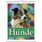Sonstige Verlage Literarische Honden - Kalender 2025