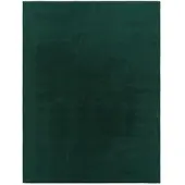 TT Home Woonkamer korte pool effen modern design wasbaar groen 200 x 200 cm Vierkant