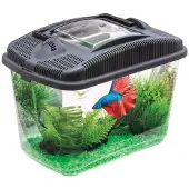 Aquael Betta Kit, aquariumset voor siamezen