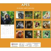 Red Robin Apen Kalender 2027