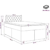 vidaXL Boxspringbed met matras, zwart, 120 x 190 cm, fluweel