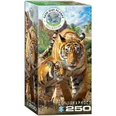 Eurographics Tiger