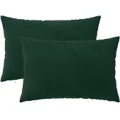 vidaXL Kussensloop 2 st HEERLEN Donkergroen 50 x 70 cm fluweel