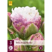 JUB Tulipa peggy wonder , 3 bollen