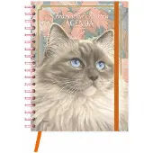 Comello Franciens Katten Bureau Agenda 2027 Blue