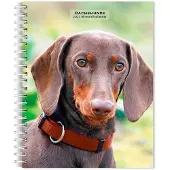 BrownTrout Teckel Agenda 2027