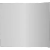 Proline Cosmo Spiegel Rechthoek 60x1x70 cm Spiegel