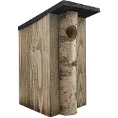Vogelhuisjes.nl Gevlamd Berk Asymetrisch