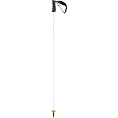 Head Skistok Head Worldcup Rebels Carbon Black/White-120 cm