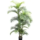 Noach Outdoor Areca palm - 160 cm