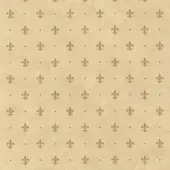 2lif Lily Zelfklevende Folie Mini rol goud 45cmx2mtr
