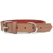 Gloria Oasis Hondenhalsband
