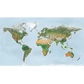 Awesome Maps Surf Trip Kaart Groene Editie