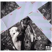 Bertus Distributie Luv Is Rage 2
