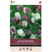 Buzzy Bloembollen Kievitsbloem (Fritillaria meleagris) 25st