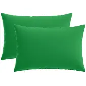 vidaXL Kussensloop 2 st HEERLEN Groen 50 x 80 cm Polyester