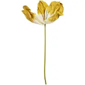 Light & Living - Kunstplant LOEK - Geel - 32x32x120 cm