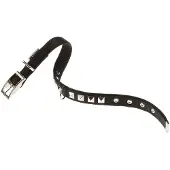 Ferplast Dual 15 Mm 35 Cm Hondenhalsband
