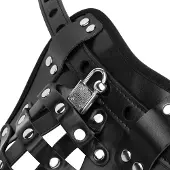 Bedroom Fantasies - Chastity Cage Panty - Zwart