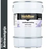 Holdbar Linoleumcoating Antracietgrijs (RAL 7016) 10 Kg