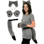 Metamorph Zilvervos kostuumset