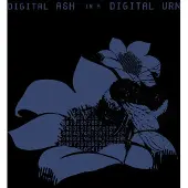 Modulor Cnt Digital Ash In A Digital Urn