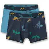 Sanetta Onderbroek hemelsblauw / donkerblauw / groen / oranje