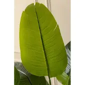 PrettyPlants Bananen Kunstplant 150 cm | Bananenboom Kunstplant | Kunstplanten voor Binnen | Grote Kunstplant