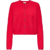 JDY Jdychloe Vest Dames Rood L