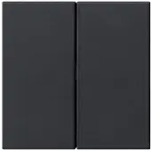 Gira 5362005 S3000 Bedienpaneel, 2-voudig, systeem 55, zwart, mat (gelakt)