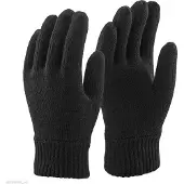 Thinsulate 3m Dunsulate thermo winterhandschoenen voor heren - Zwart