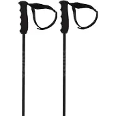 Völkl Speedstick Stokken